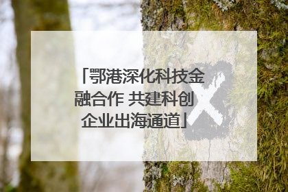 鄂港深化科技金融合作 共建科创企业出海通道