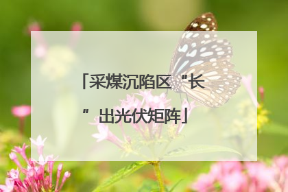 采煤沉陷区“长”出光伏矩阵