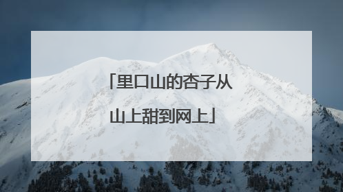 里口山的杏子从山上甜到网上