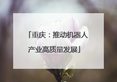 重庆：推动机器人产业高质量发展