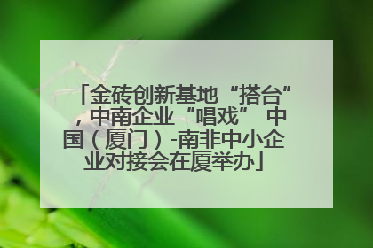 金砖创新基地“搭台”，中南企业“唱戏” 中国（厦门）-南非中小企业对接会在厦举办