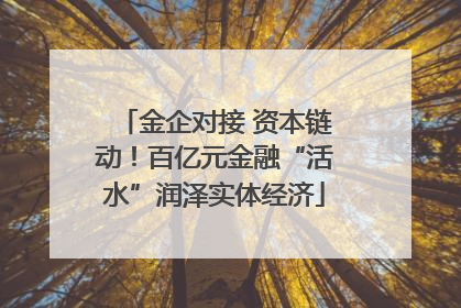 金企对接 资本链动！百亿元金融“活水”润泽实体经济