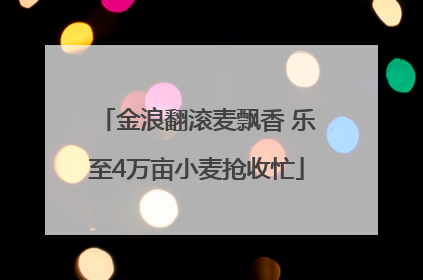 金浪翻滚麦飘香 乐至4万亩小麦抢收忙