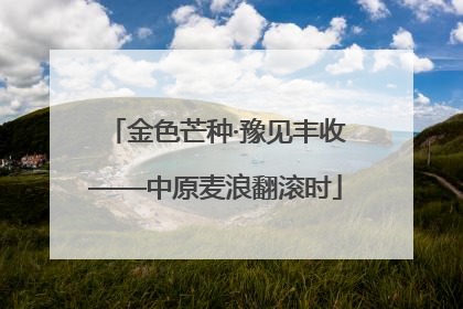 金色芒种·豫见丰收——中原麦浪翻滚时