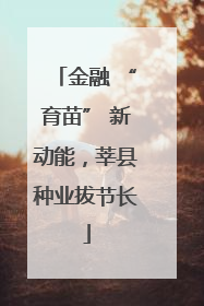 金融 “育苗” 新动能，莘县种业拔节长