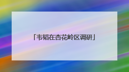 韦韬在杏花岭区调研