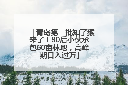 青岛第一批知了猴来了！80后小伙承包60亩林地，高峰期日入过万