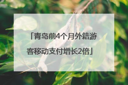 青岛前4个月外籍游客移动支付增长2倍