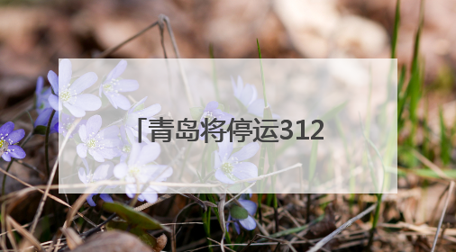 青岛将停运312路公交线路 对652路线路优化调整