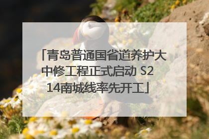 青岛普通国省道养护大中修工程正式启动 S214南城线率先开工