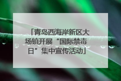 青岛西海岸新区大场镇开展“国际禁毒日”集中宣传活动