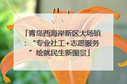 青岛西海岸新区大场镇：“专业社工+志愿服务”绘就民生新图景