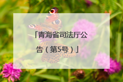 青海省司法厅公告（第5号）