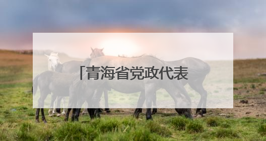 青海省党政代表团来山东考察