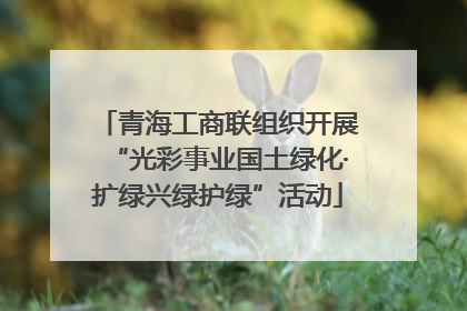 青海工商联组织开展“光彩事业国土绿化·扩绿兴绿护绿”活动