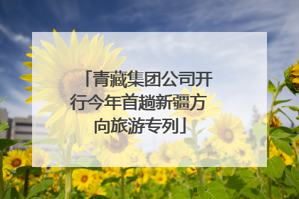 青藏集团公司开行今年首趟新疆方向旅游专列
