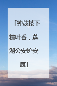 钟鼓楼下粽叶香，莲湖公安护安康