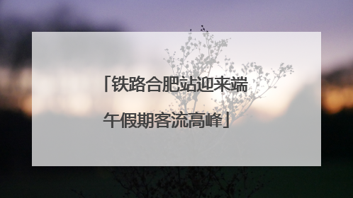 铁路合肥站迎来端午假期客流高峰