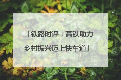 铁路时评：高铁助力乡村振兴迈上快车道
