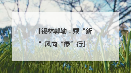 锡林郭勒：乘“新”风向“绿”行