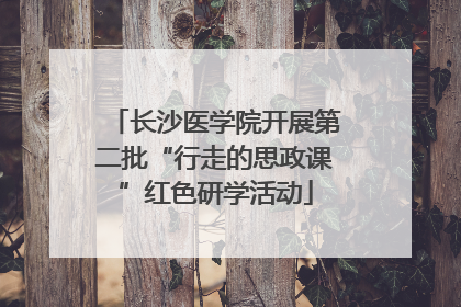长沙医学院开展第二批“行走的思政课”红色研学活动