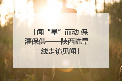 闻“旱”而动 保灌保供——陕西抗旱一线走访见闻