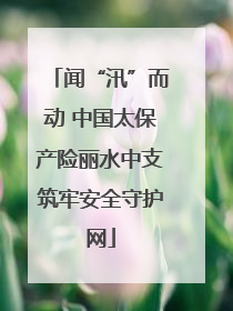 闻“汛”而动 中国太保产险丽水中支筑牢安全守护网