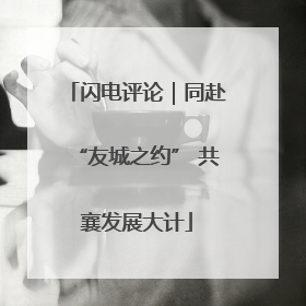 闪电评论｜同赴“友城之约” 共襄发展大计