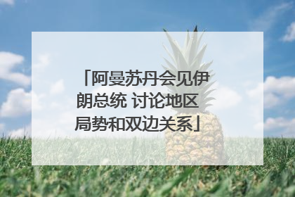 阿曼苏丹会见伊朗总统 讨论地区局势和双边关系
