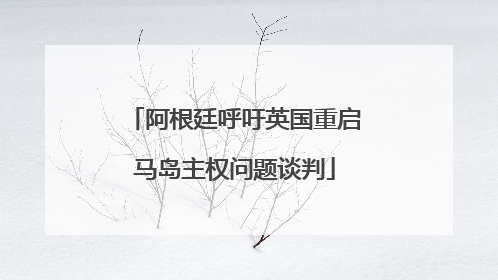 阿根廷呼吁英国重启马岛主权问题谈判
