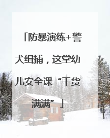 防暴演练+警犬缉捕，这堂幼儿安全课“干货满满”