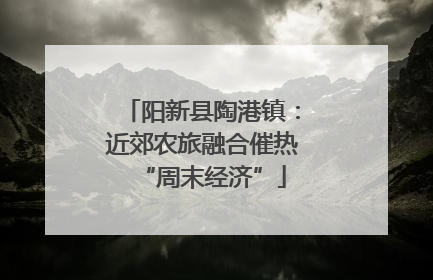 阳新县陶港镇：近郊农旅融合催热“周末经济”