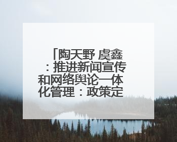 陶天野 虞鑫：推进新闻宣传和网络舆论一体化管理：政策定位、概念内涵和实践路径