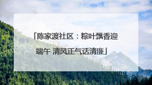 陈家渡社区：粽叶飘香迎端午 清风正气话清廉