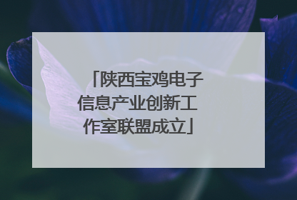 陕西宝鸡电子信息产业创新工作室联盟成立