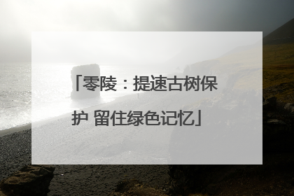 零陵：提速古树保护 留住绿色记忆