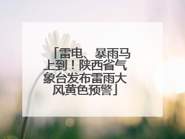 雷电、暴雨马上到！陕西省气象台发布雷雨大风黄色预警