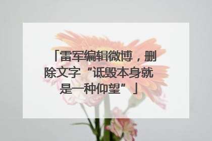 雷军编辑微博，删除文字“诋毁本身就是一种仰望”