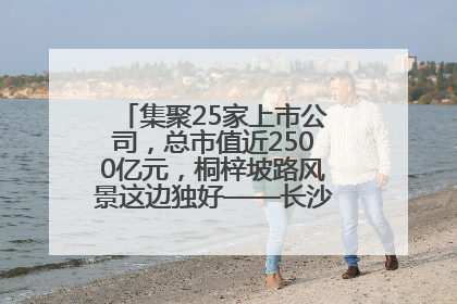 集聚25家上市公司，总市值近2500亿元，桐梓坡路风景这边独好——长沙有条“上市路”