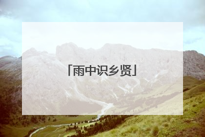 雨中识乡贤