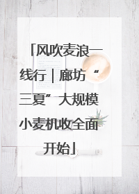 风吹麦浪一线行｜廊坊“三夏”大规模小麦机收全面开始