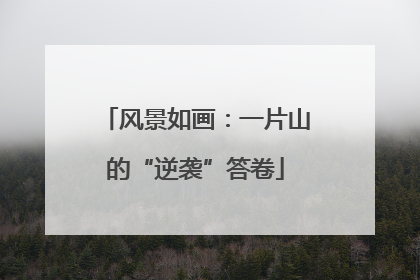 风景如画：一片山的“逆袭”答卷