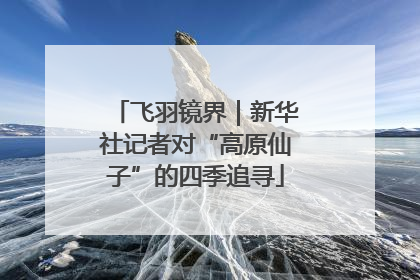 飞羽镜界｜新华社记者对“高原仙子”的四季追寻