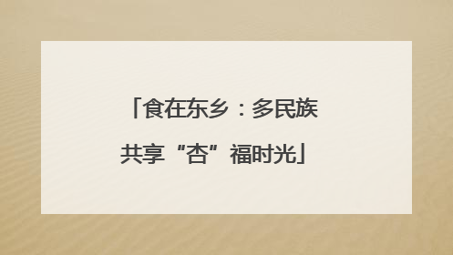 食在东乡：多民族共享“杏”福时光