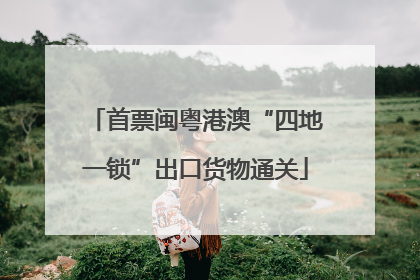 首票闽粤港澳“四地一锁”出口货物通关