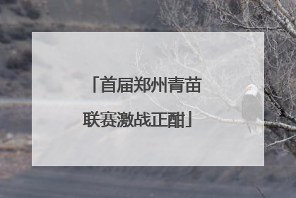 首届郑州青苗联赛激战正酣