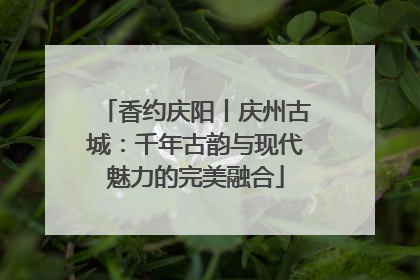 香约庆阳丨庆州古城：千年古韵与现代魅力的完美融合