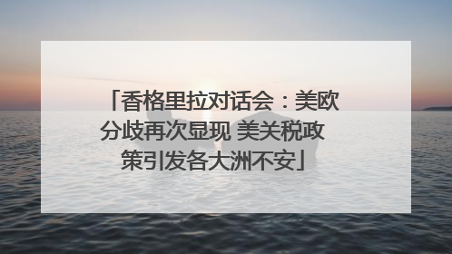 香格里拉对话会：美欧分歧再次显现 美关税政策引发各大洲不安