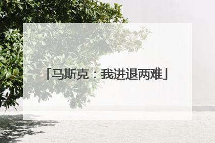 马斯克：我进退两难