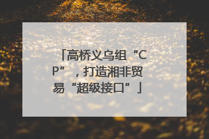 高桥义乌组“CP”，打造湘非贸易“超级接口”